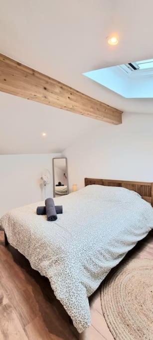 Le Duplex Catherine - Metro - Gare - Wifi Toulouse Exterior foto
